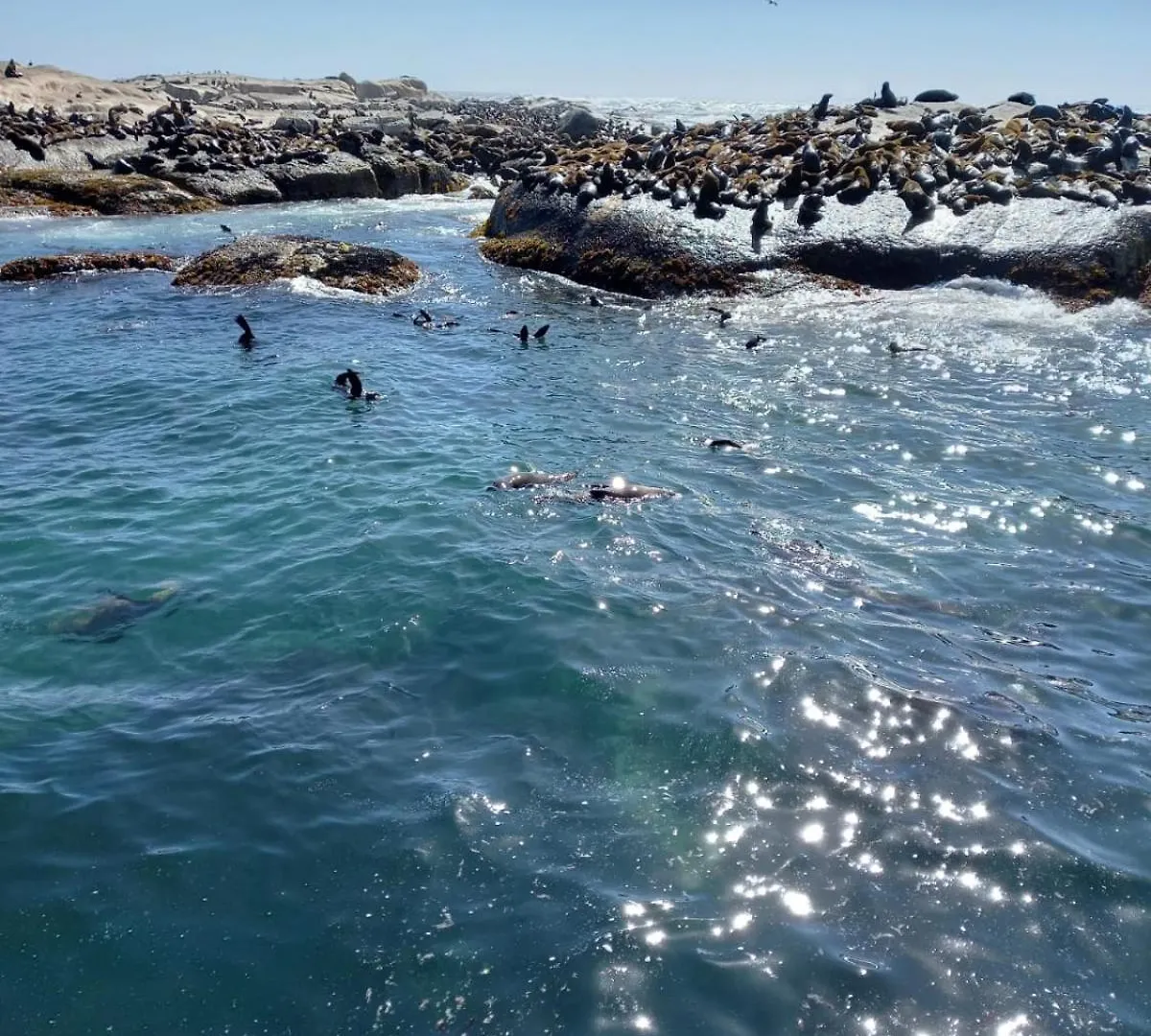 Daire Matt'S Place Cape Town